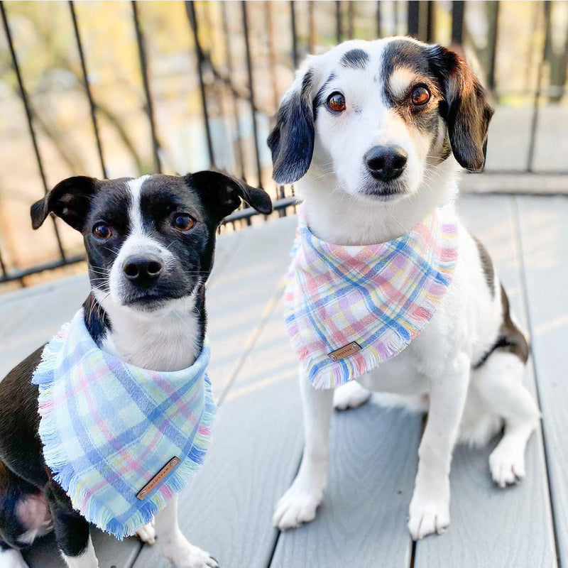 THE BAILEY - Dog Flannel Fray Bandana