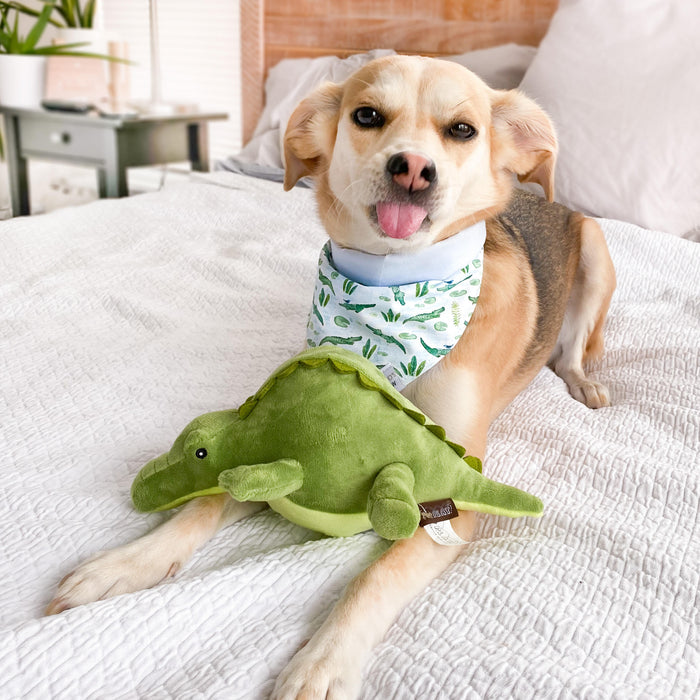 Crocodile Dog Toy