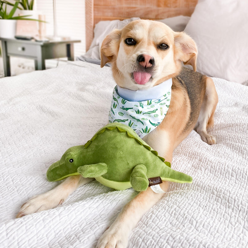 Crocodile Dog Toy