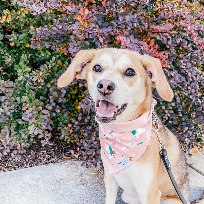 Pink Polar Express Dog Bandana