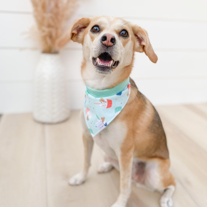 Barkday Bash Dog Bandana