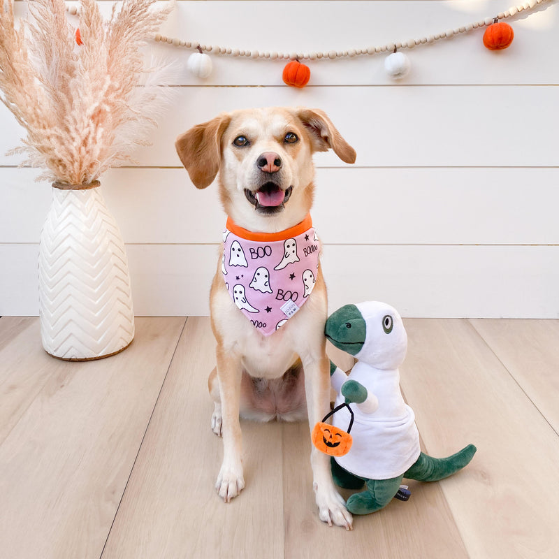 Halloween Ghost Dinosaur Dog Toy