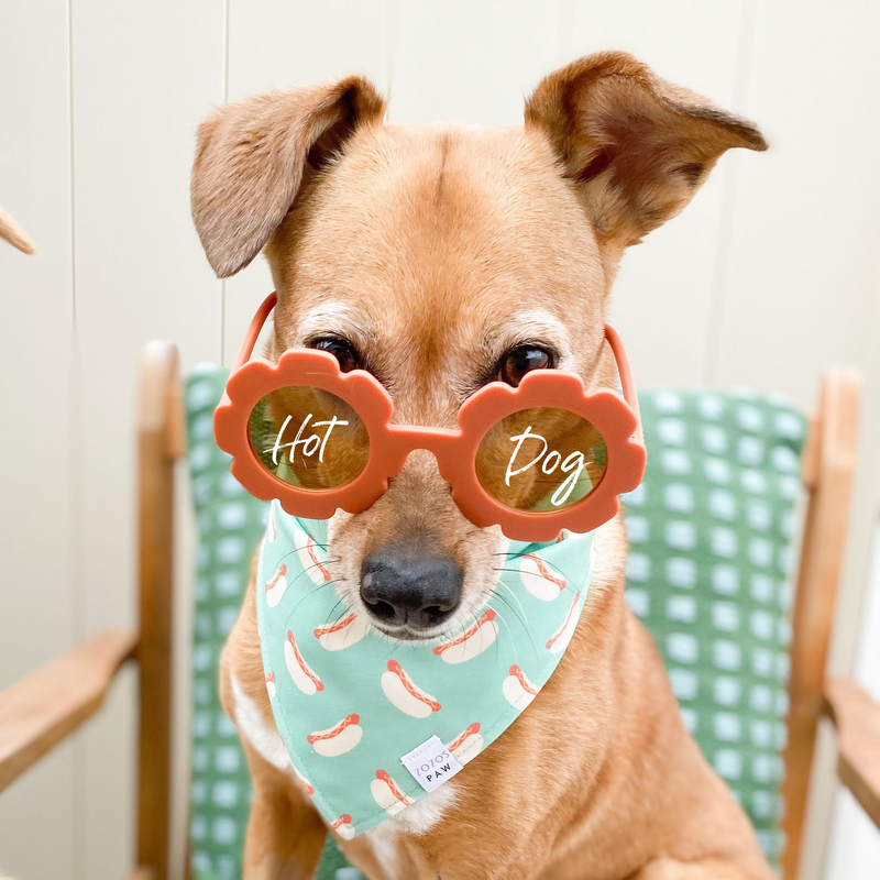 Rue's Hotdogs Dog Bandana
