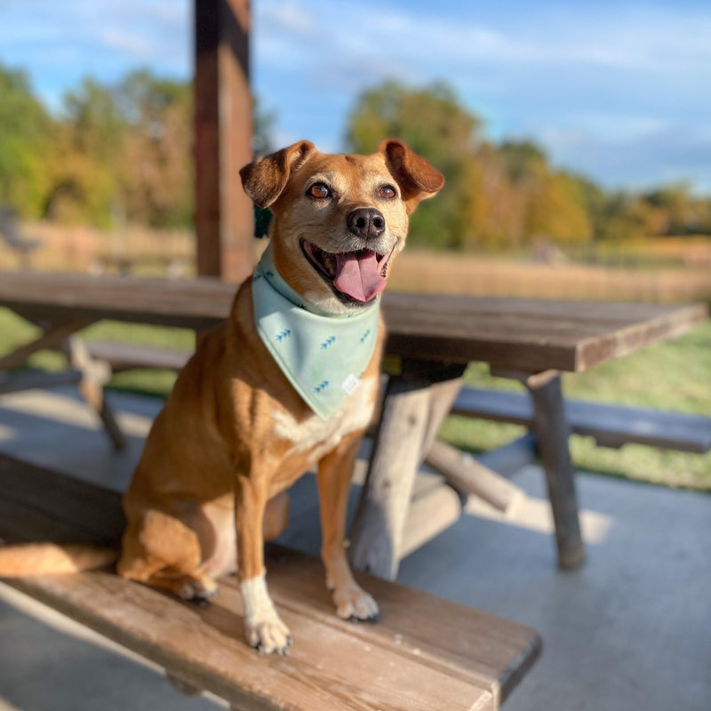 Teal Trees Dog Bandana