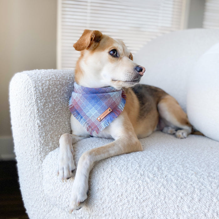 THE ZION - Dog Flannel Fray Bandana