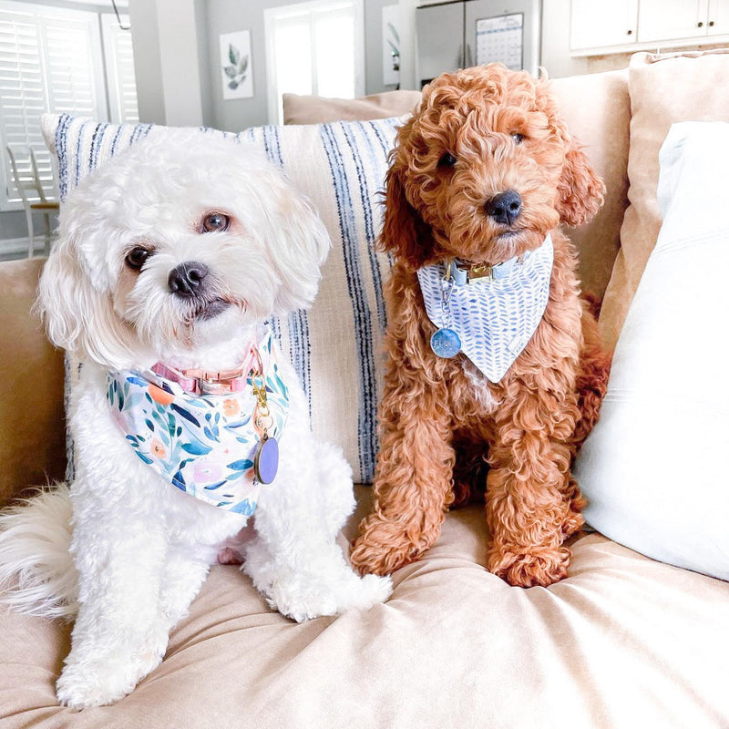 Spring Showers Dog Bandana