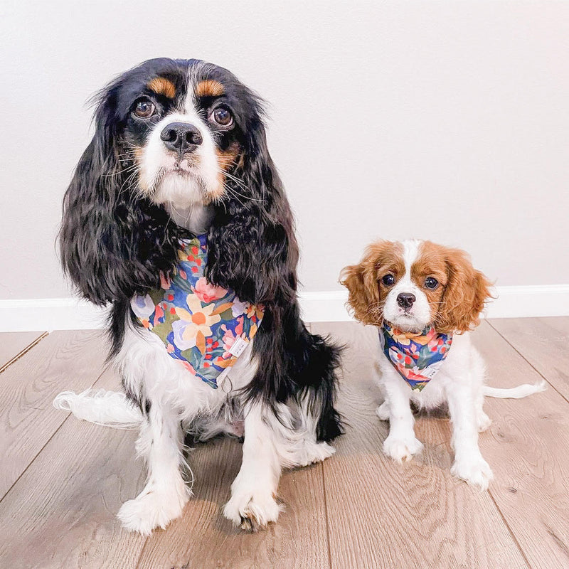 Painted Petals Dog Bandana