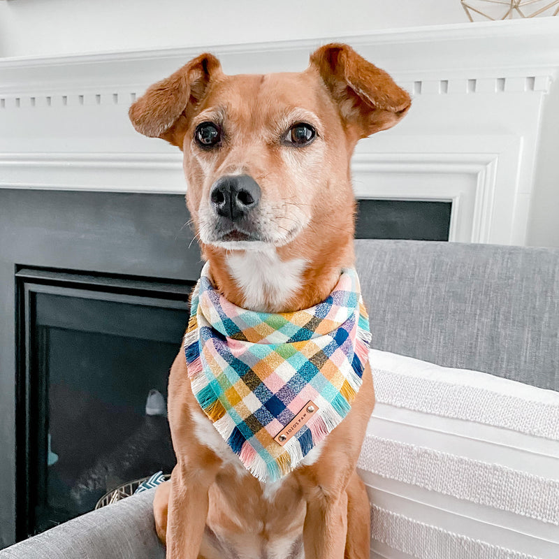 THE MARGOT - Dog Flannel Fray Bandana