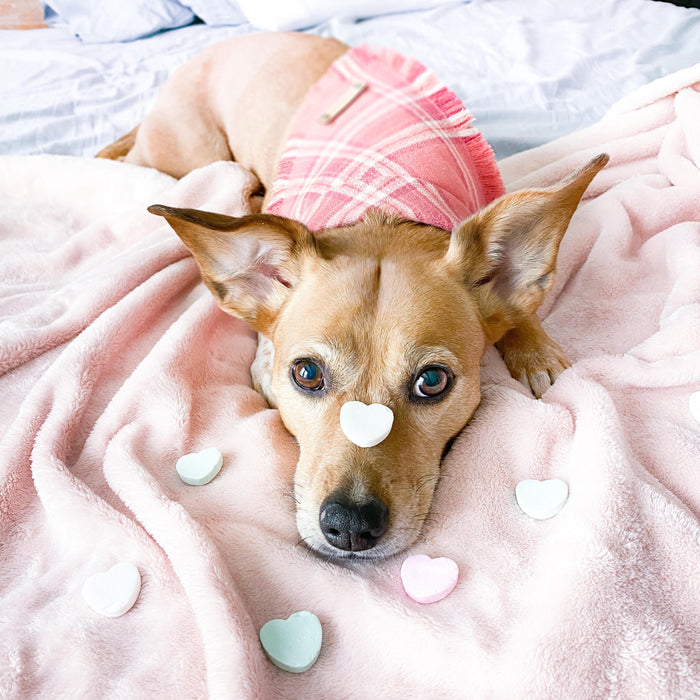 THE RUBY - Dog Flannel Fray Bandana