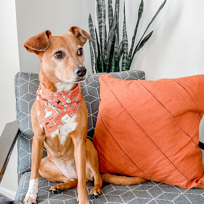 Monster Mash Dog Bandana