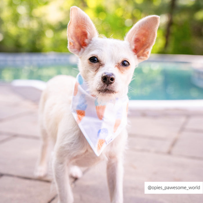 Ice Cream Dog Bandana