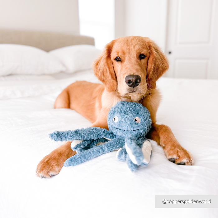 Earth Friendly Octopus Dog Toy