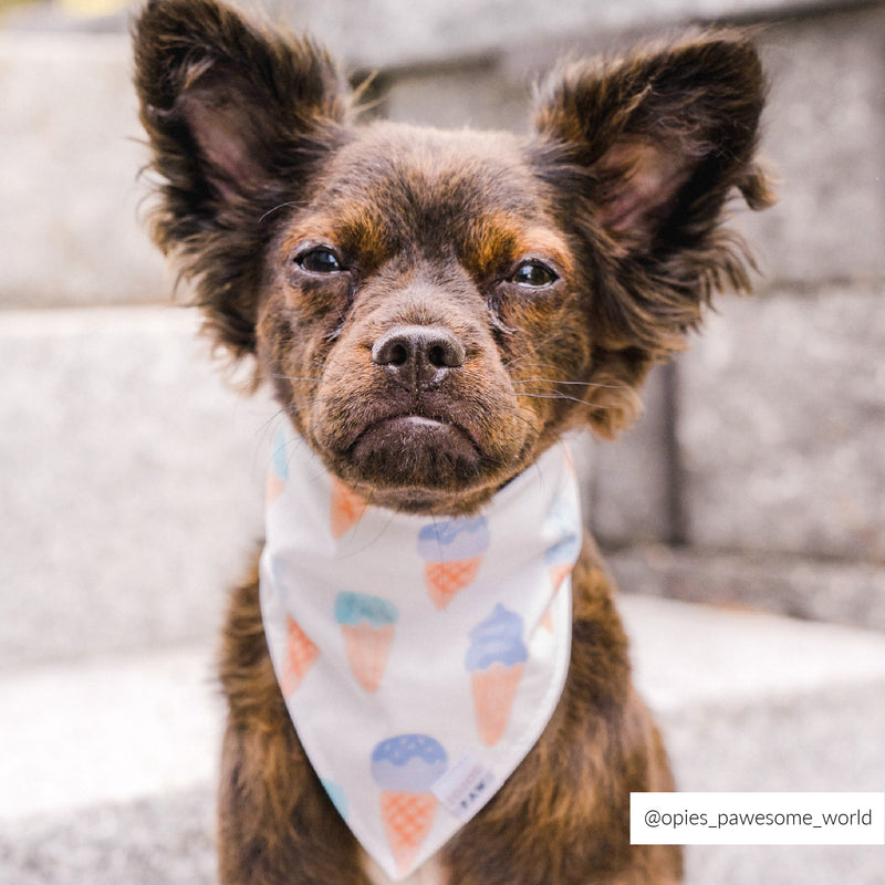 Ice Cream Dog Bandana