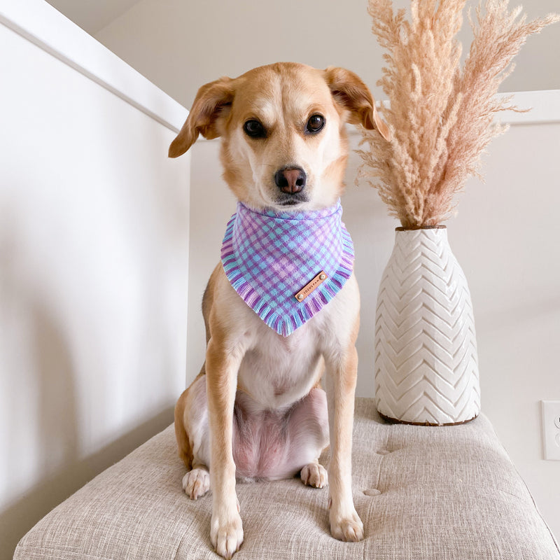 THE UNICORN - Dog Flannel Fray Bandana