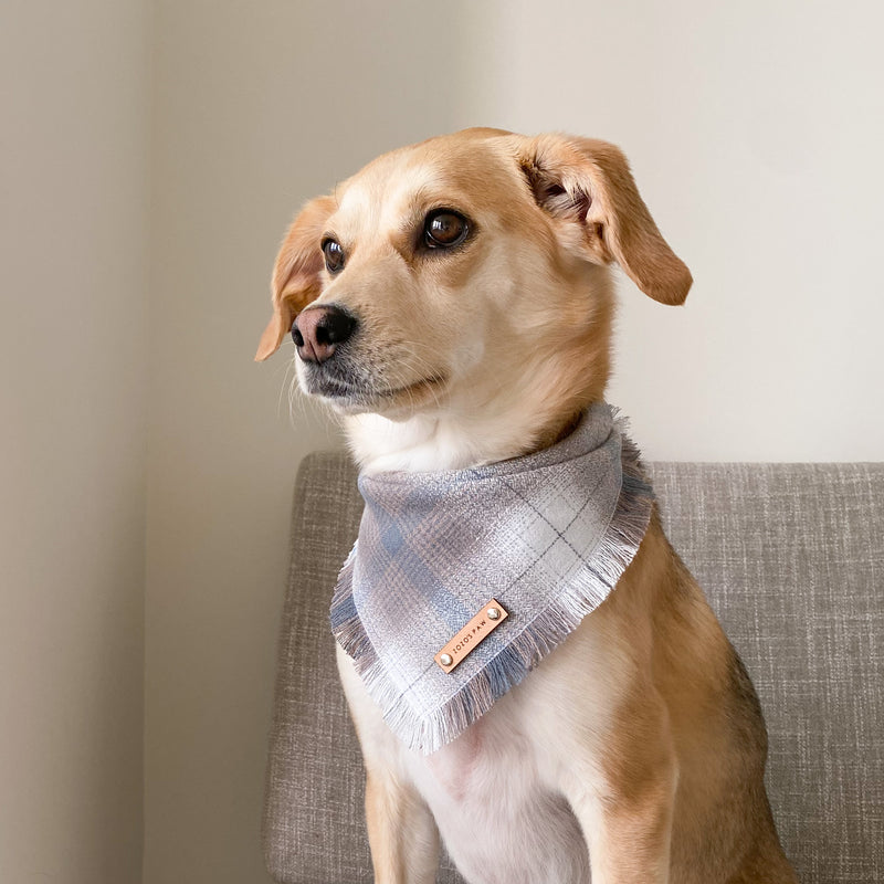 THE ASTOR - Dog Flannel Fray Bandana