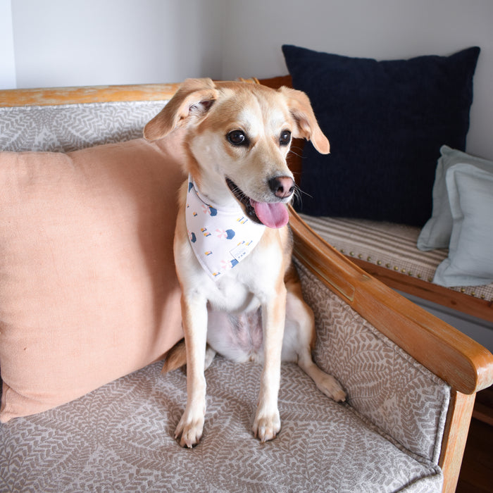 Sunkissed Sands Dog Bandana