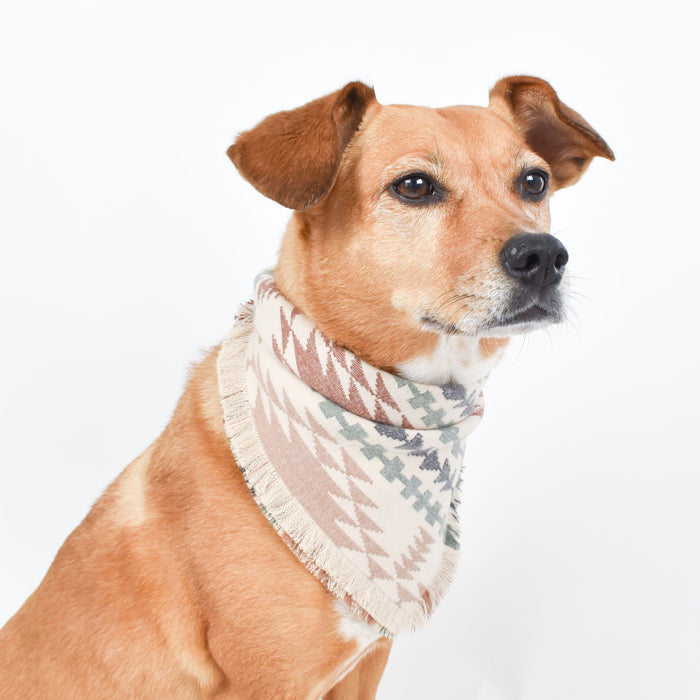 THE CHEROKEE - Dog Flannel Fray Bandana