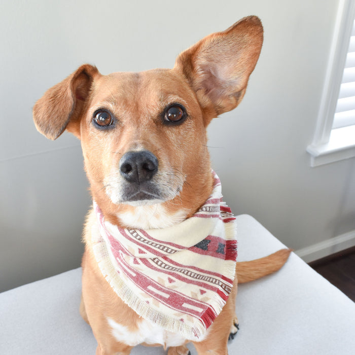 THE ARIZONA - Dog Flannel Fray Bandana