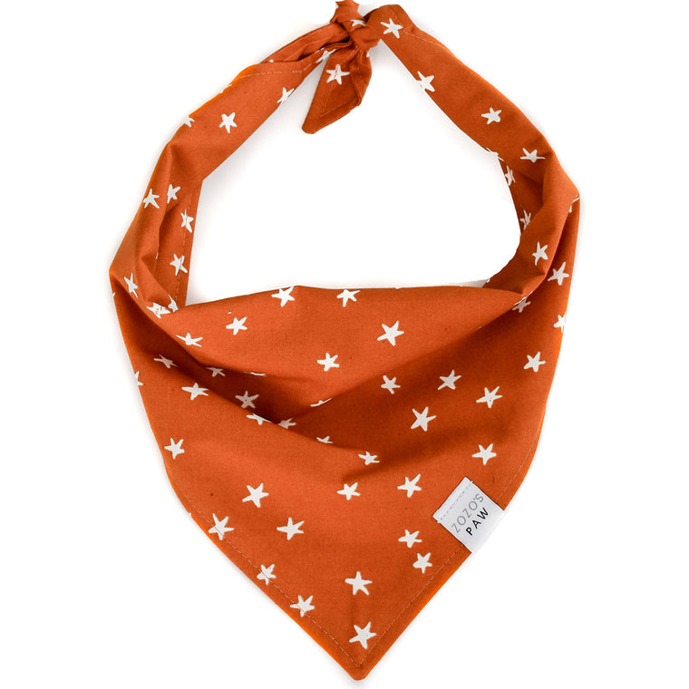 Vintage Stars Dog Bandana