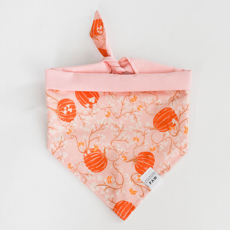 Fairy Tale Pumpkins Dog Bandana