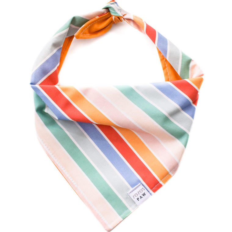 Retro Rainbow Stripes Dog Bandana