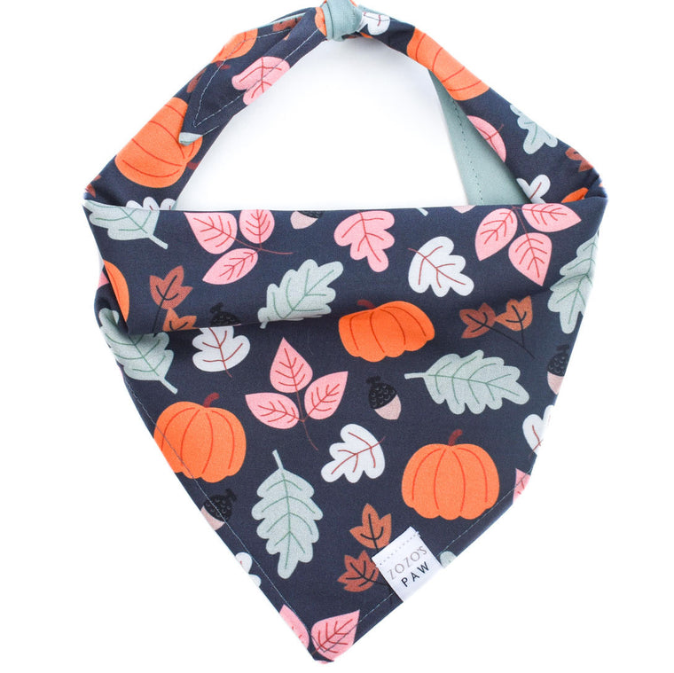 Happy Harvest Dog Bandana