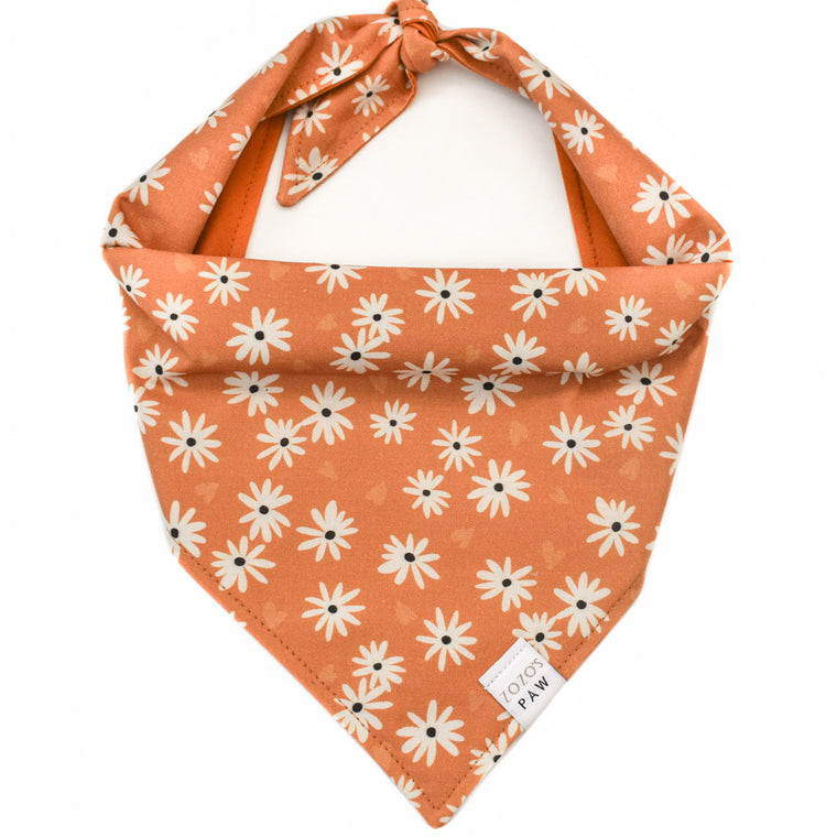 Daisy Delight Dog Bandana