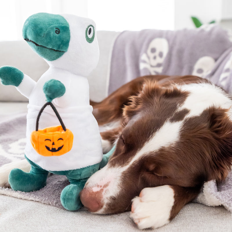 Halloween Ghost Dinosaur Dog Toy