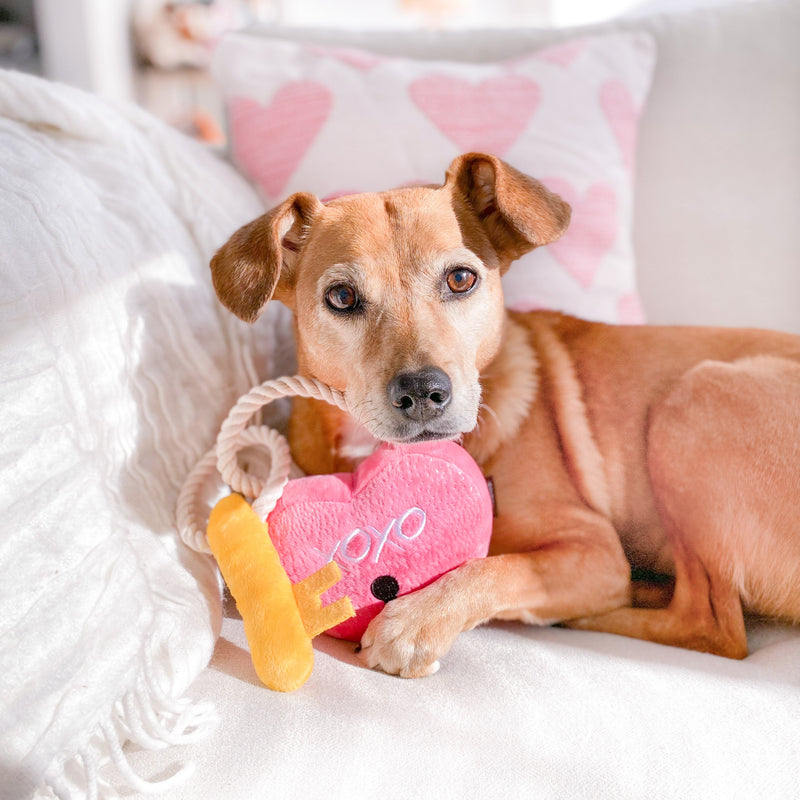 Love You a Lock Dog Toy