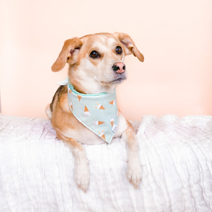 Bunny Cones Dog Bandana