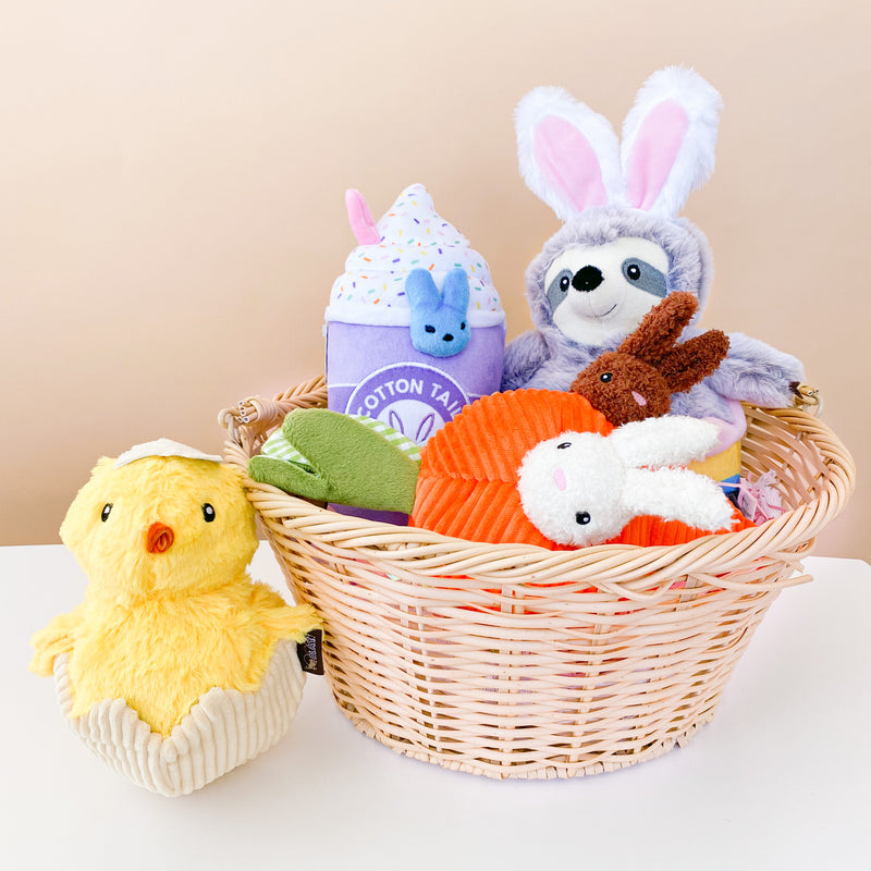 Easter Egg Basket Dog Toy