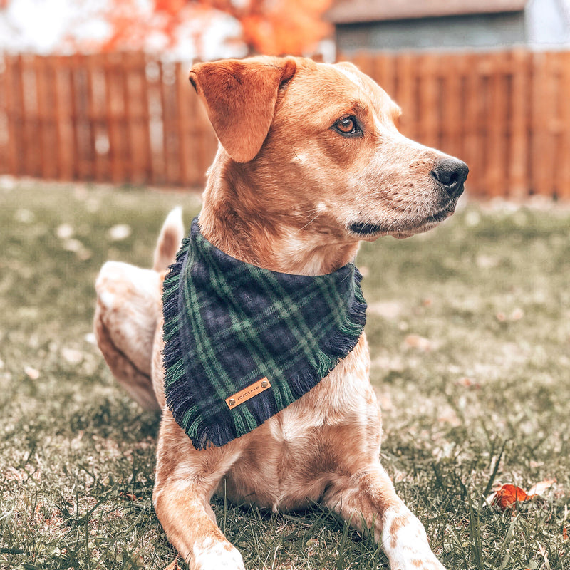 THE MILO - Dog Flannel Fray Bandana