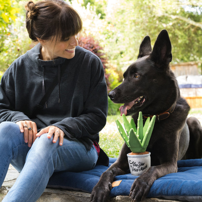 Aloe Vera Plant Dog Toy