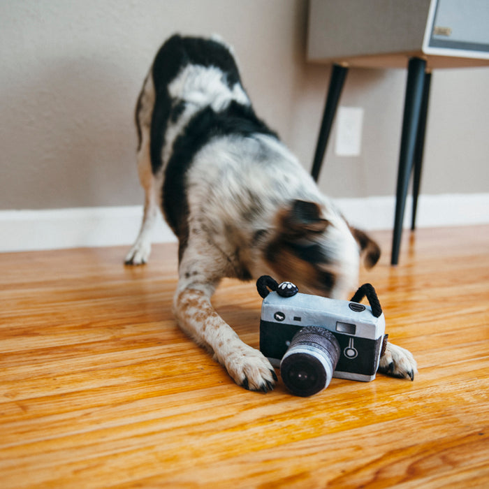 Lens Licker Camera Dog Toy