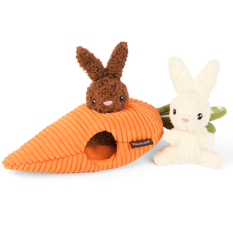 Hippity Hopitty Bunny Dog Toy