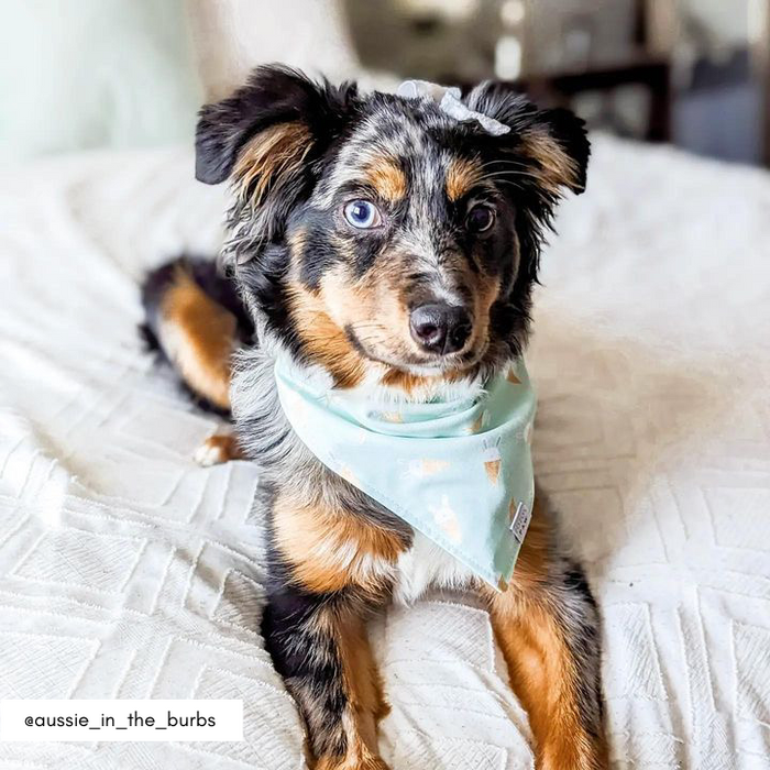 Bunny Cones Dog Bandana