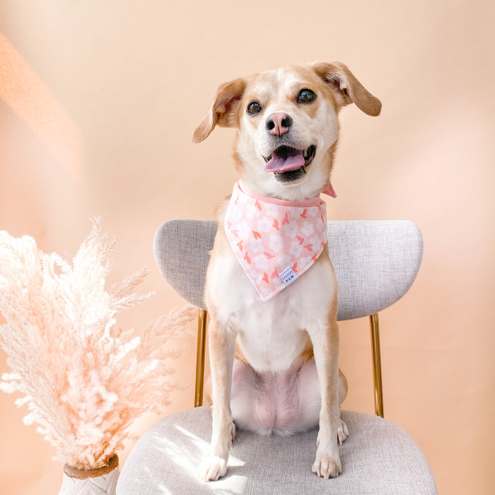 Pink Petals Dog Bandana