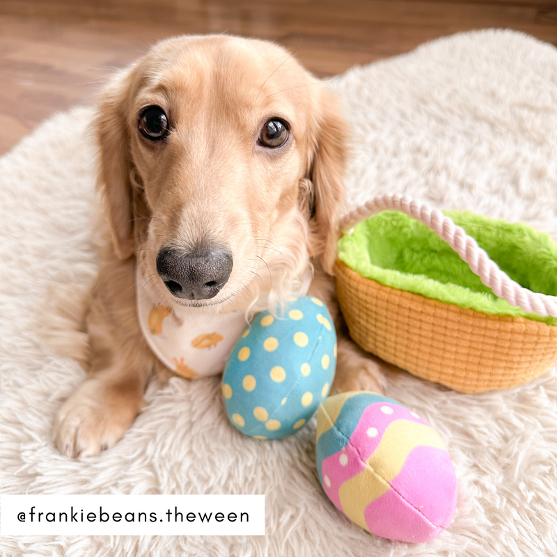 Easter Egg Basket Dog Toy