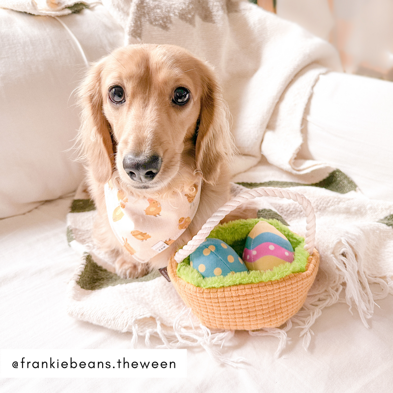 Easter Egg Basket Dog Toy