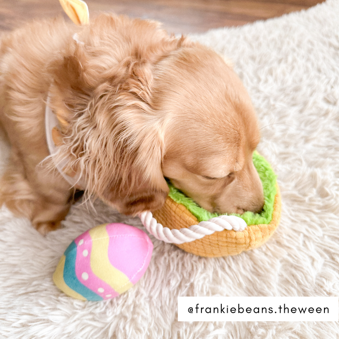 Easter Egg Basket Dog Toy