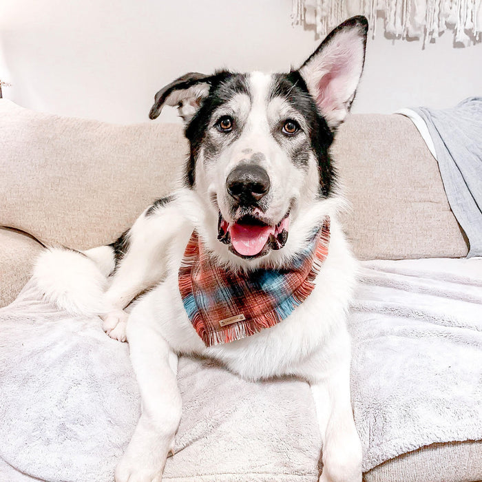 THE SIMON - Dog Flannel Fray Bandana