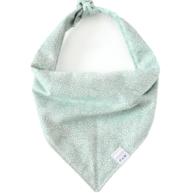 Mint Bubbly Dog Bandana