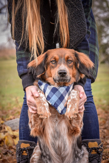 THE BRODY - Dog Flannel Fray Bandana