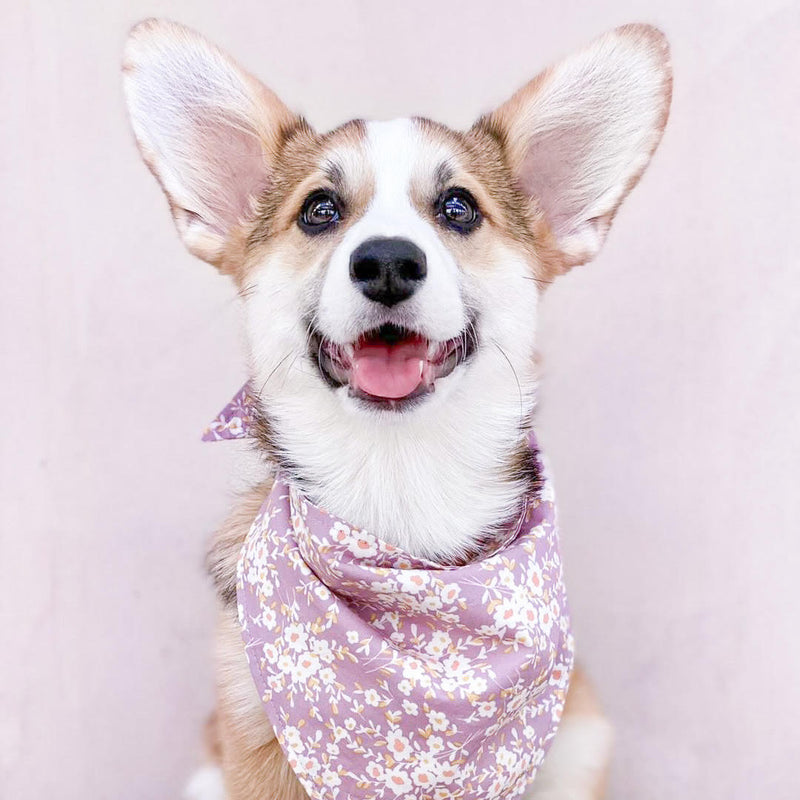 Lavender Love Floral Dog Bandana