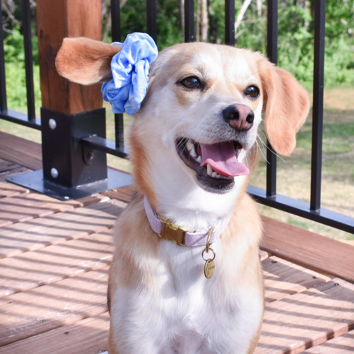 Chambray Dots Scrunchie