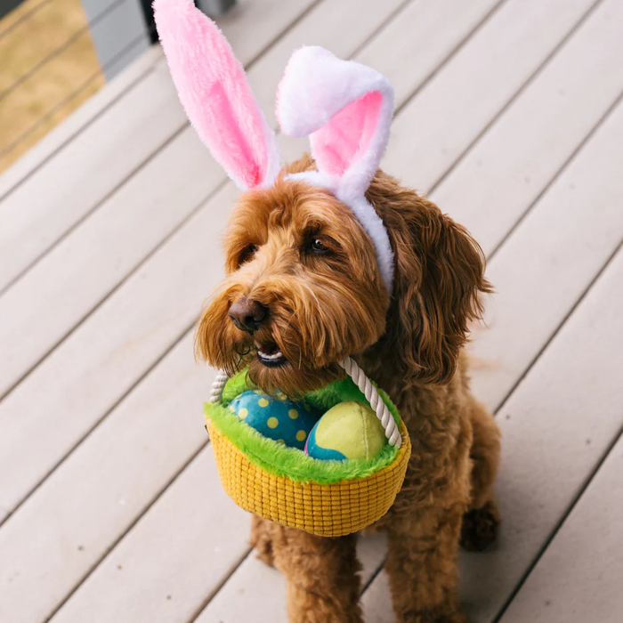 Easter Egg Basket Dog Toy