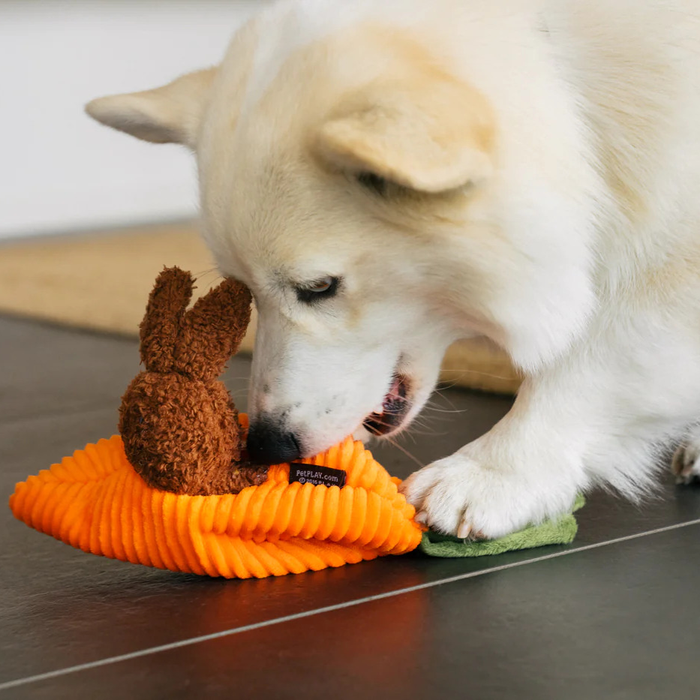 Hippity Hopitty Bunny Dog Toy