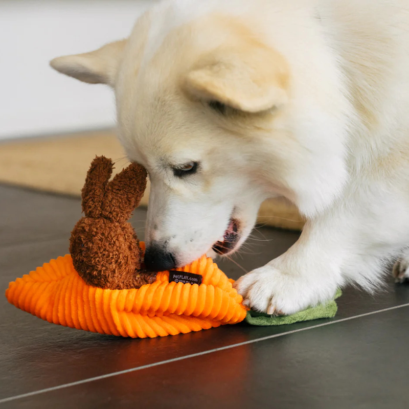 Hippity Hopitty Bunny Dog Toy