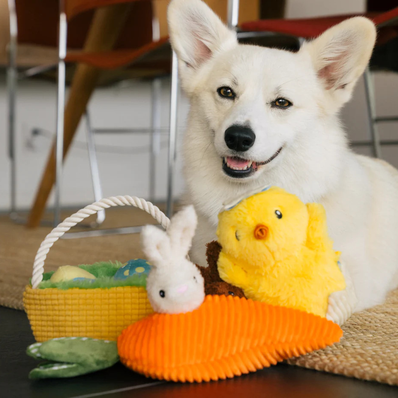 Chick Me Out Dog Toy