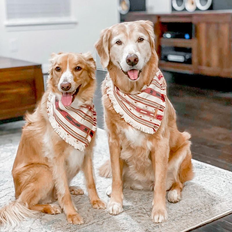 THE ARIZONA - Dog Flannel Fray Bandana